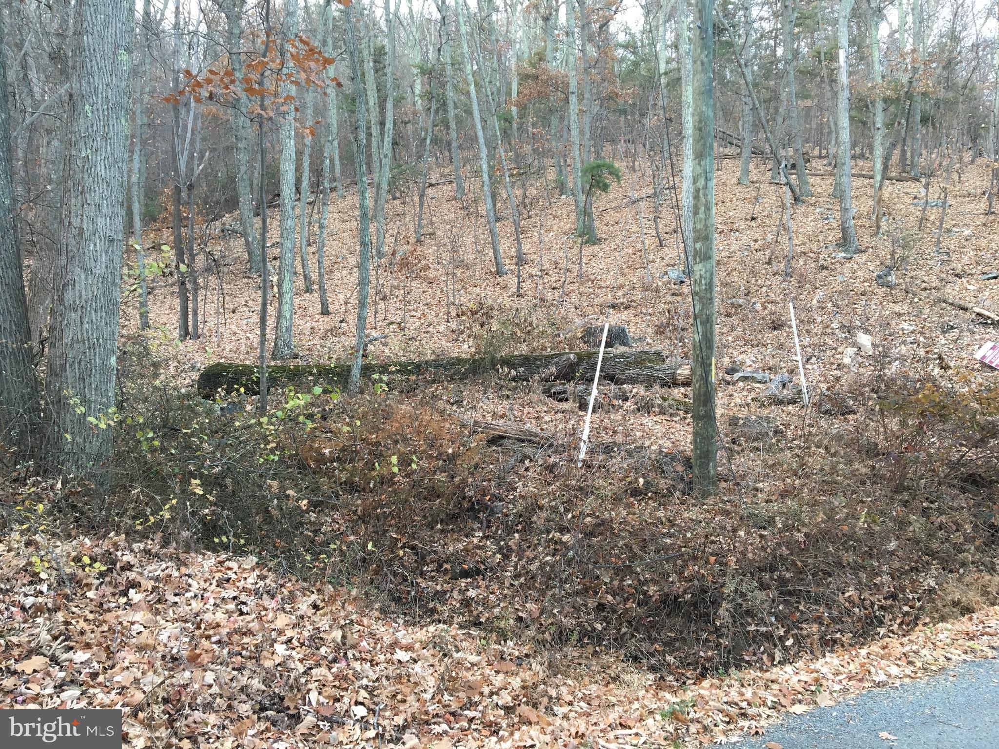 BULL RUN MOUNTAIN ESTATE - Land