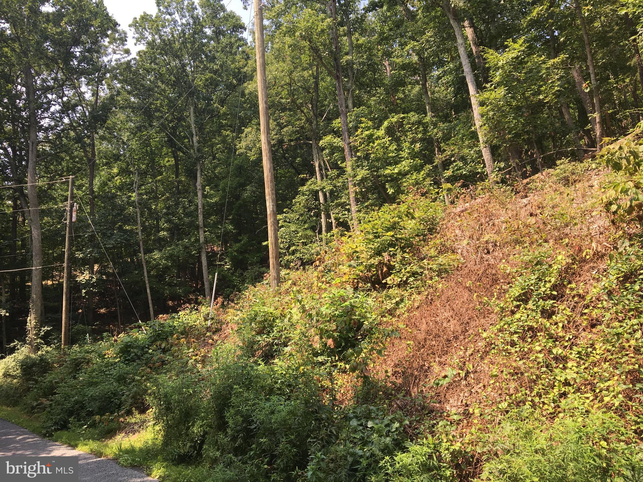 BULL RUN MOUNTAIN ESTATE - Land