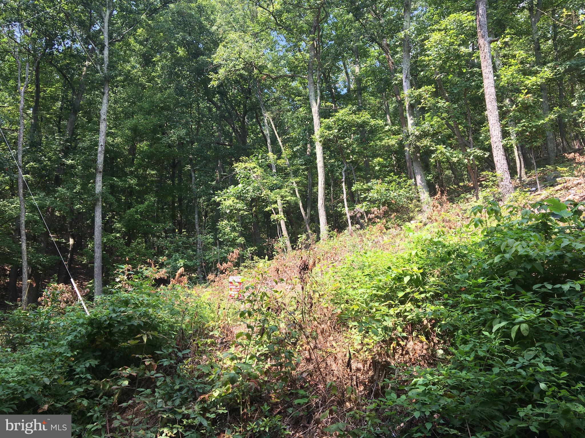 BULL RUN MOUNTAIN ESTATE - Land