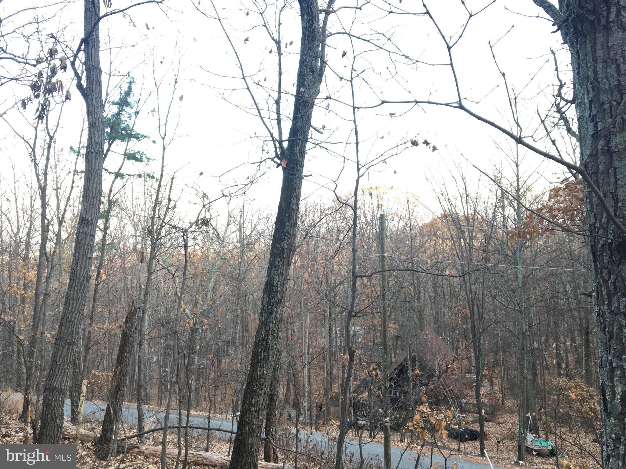 BULL RUN MOUNTAIN ESTATE - Land