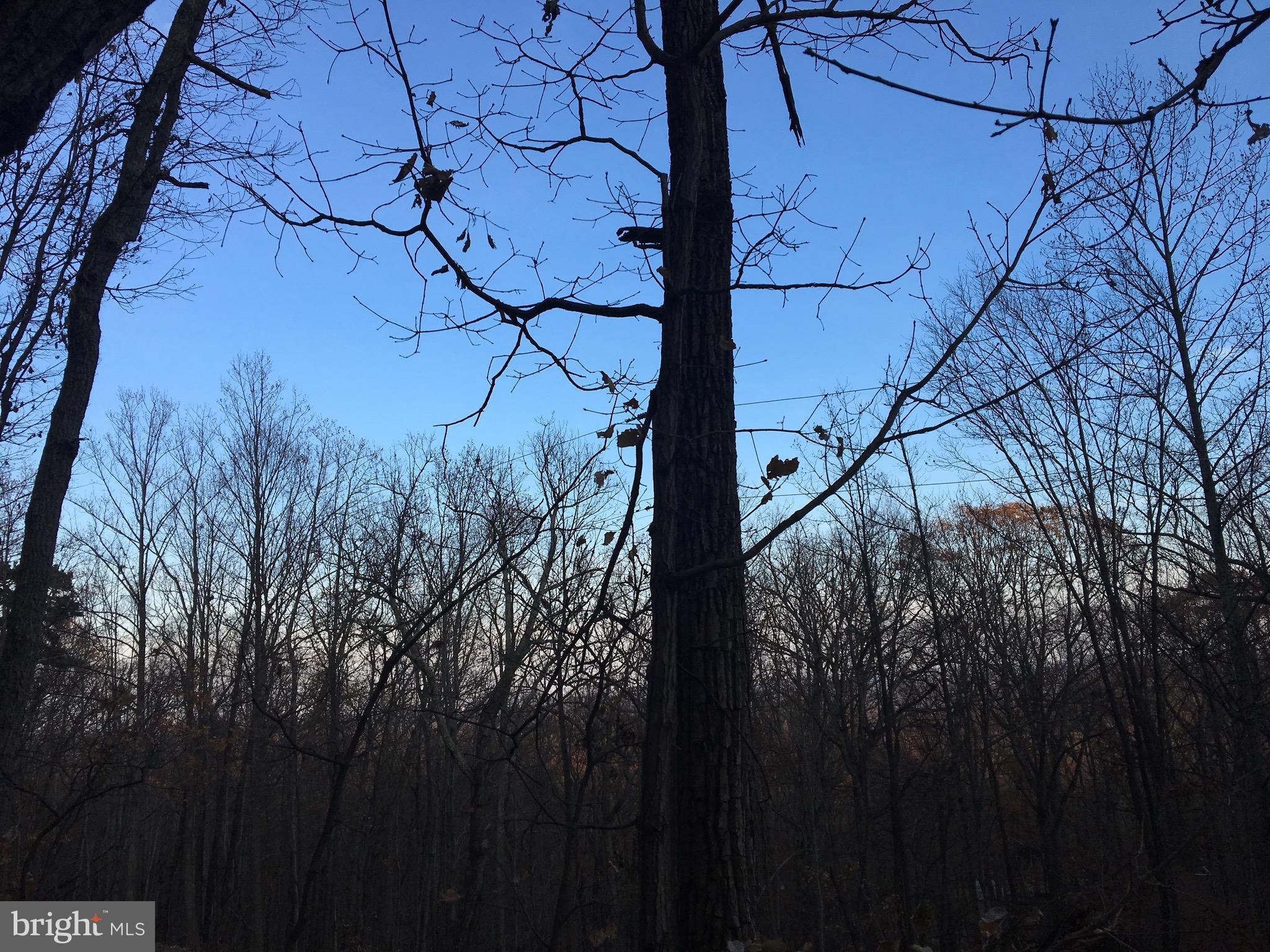 BULL RUN MOUNTAIN ESTATE - Land