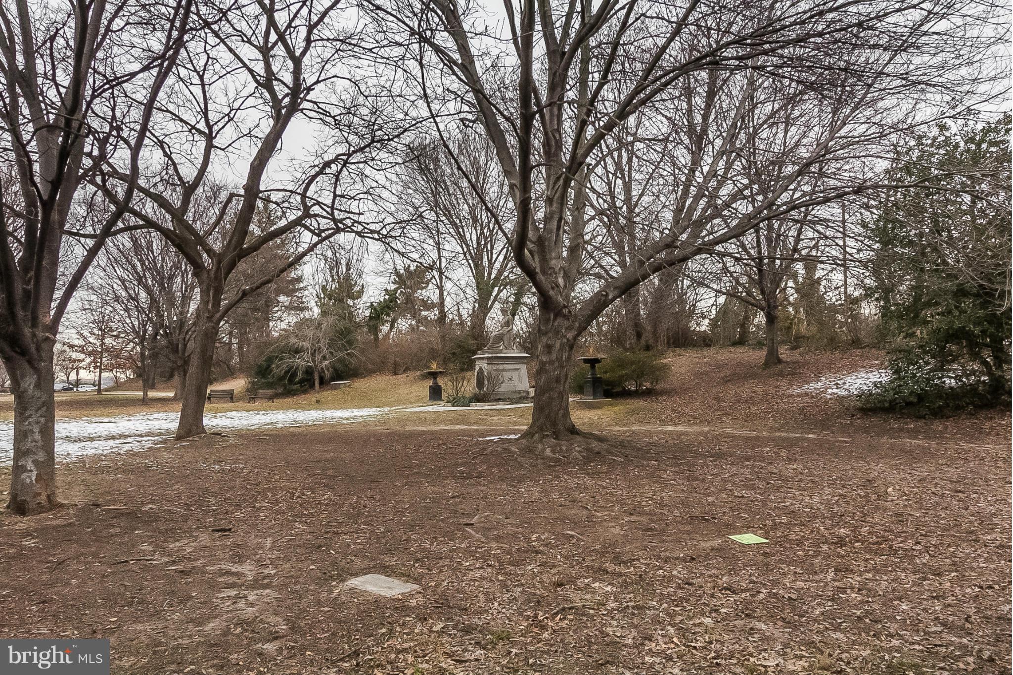 RESERVOIR HILL HISTORIC DISTRICT - Residential