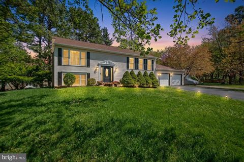 10217 MCKEAN COURT GREAT FALLS VA 22066