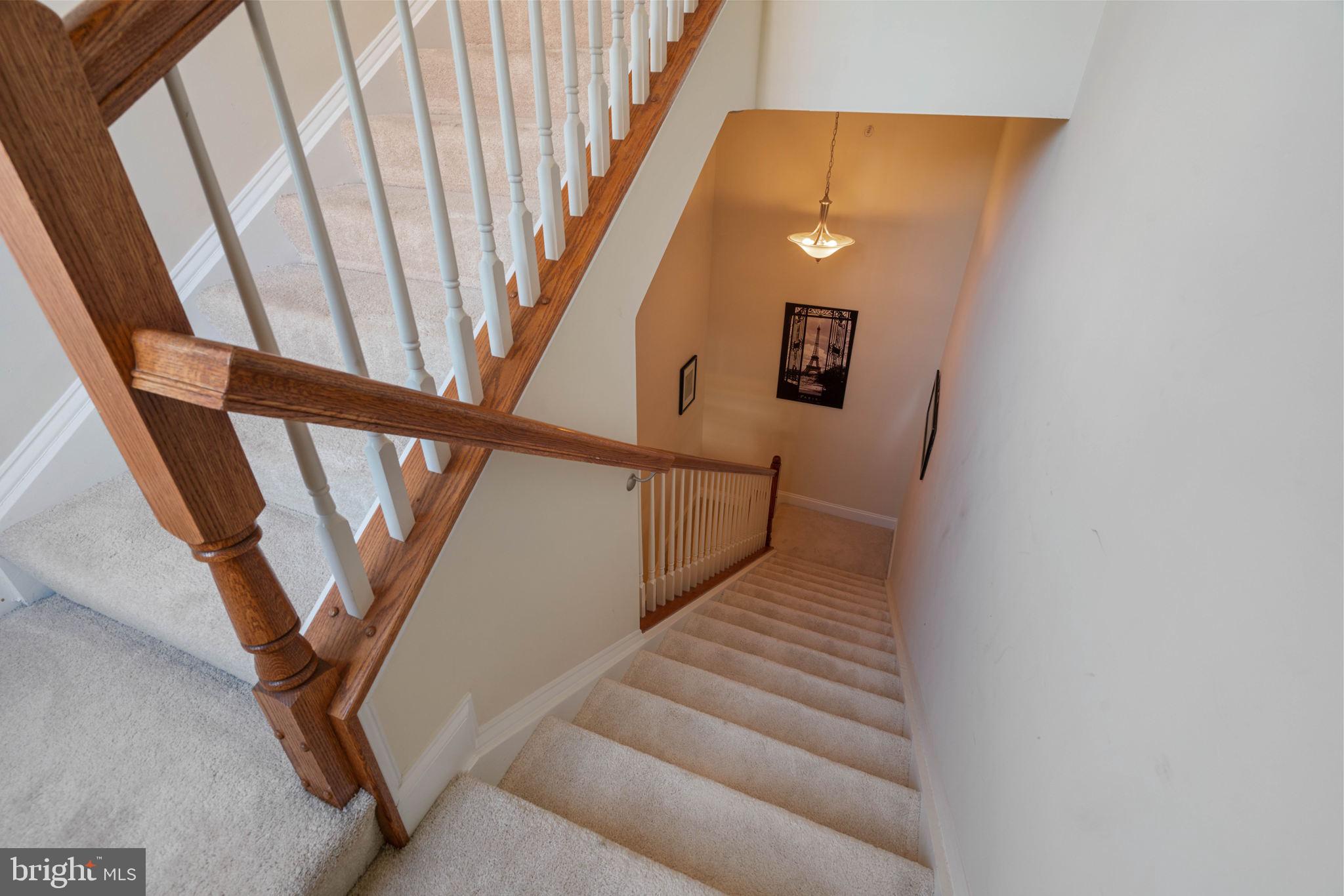 POTOMAC CLUB - Residential