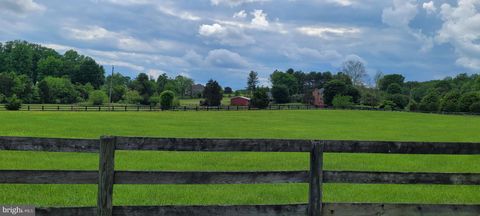listing image 74