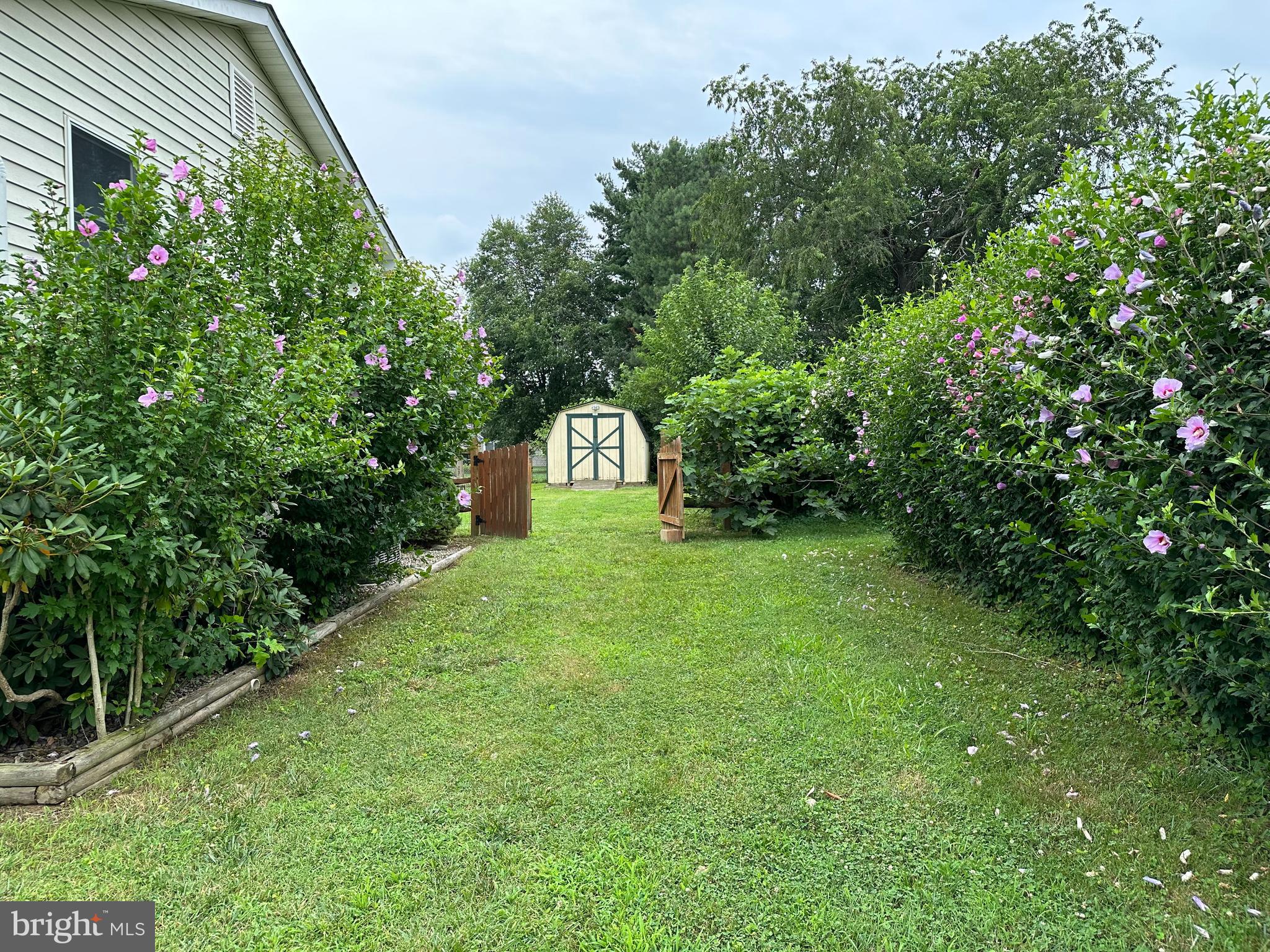 ELKMORE - Residential