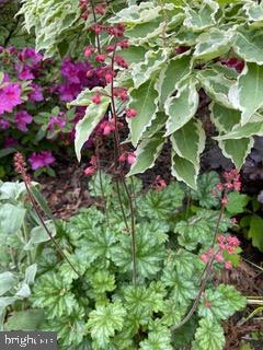 STEWARTS LANDING - Residential