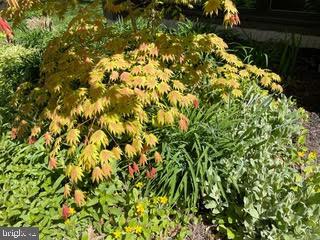 STEWARTS LANDING - Residential