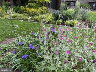 STEWARTS LANDING - Residential