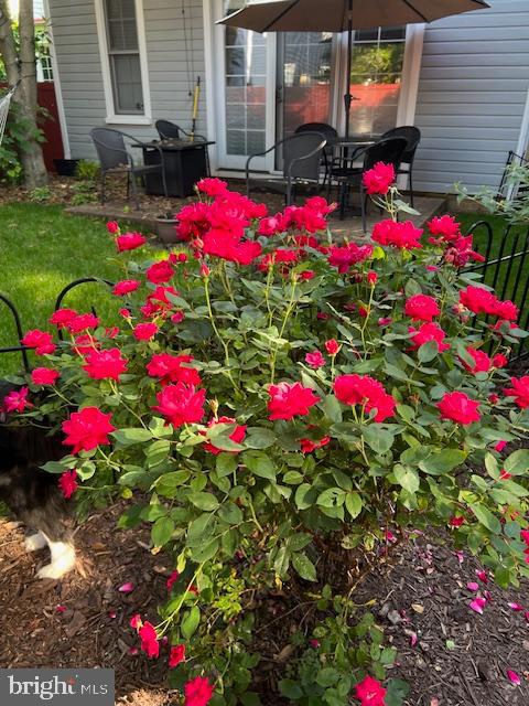 HISTORIC DISTRICT - Residential