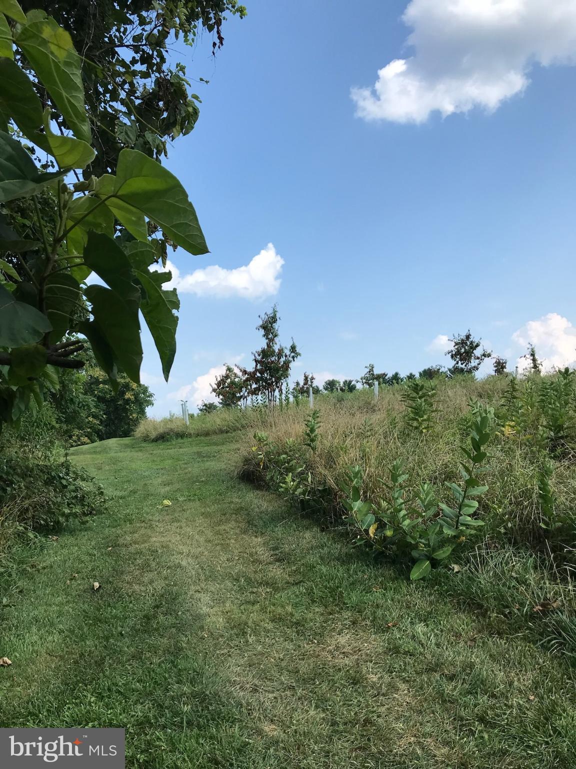 TIMONIUM HEIGHTS - Residential