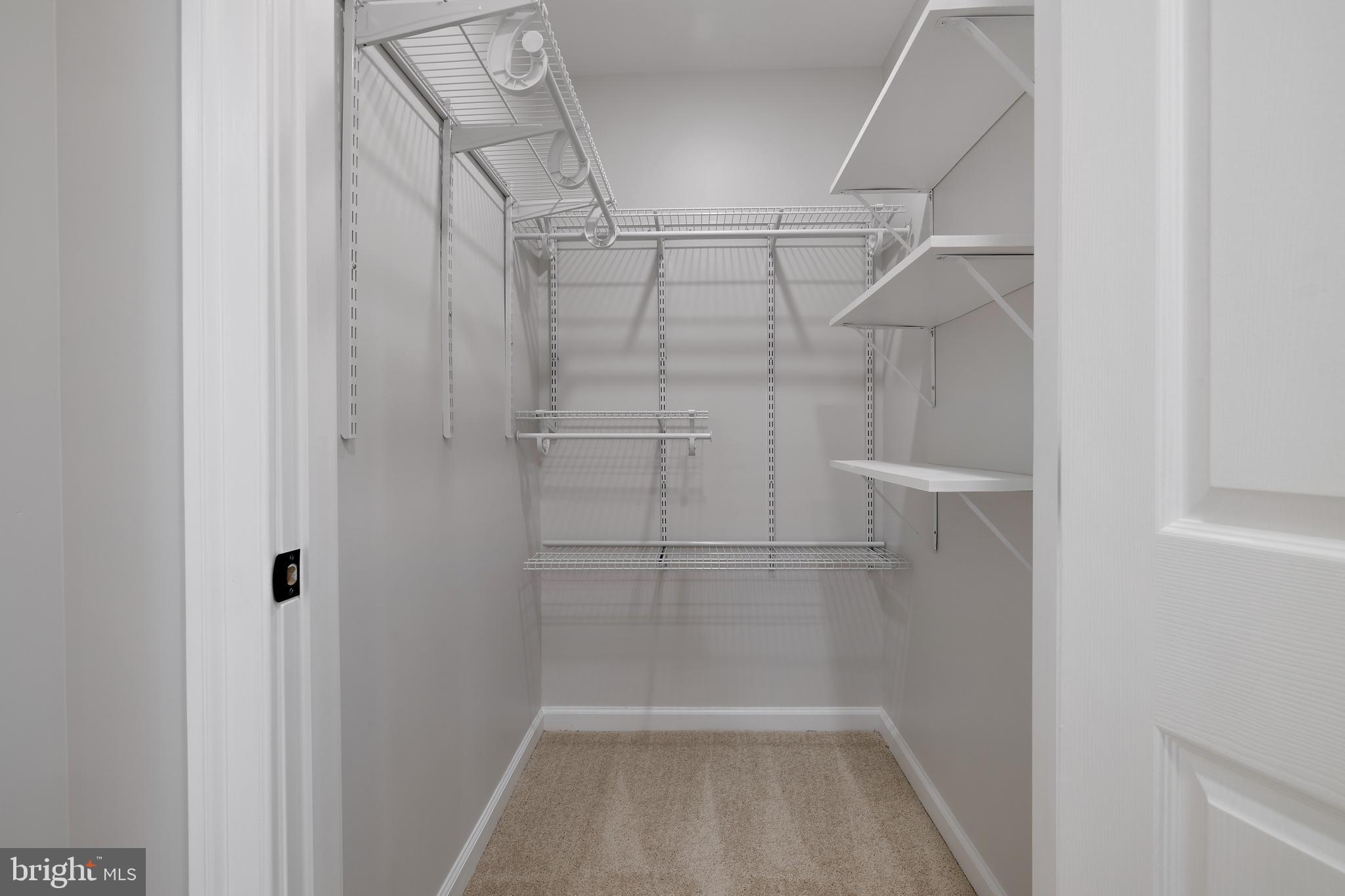 WILSON HEIGHTS - Residential