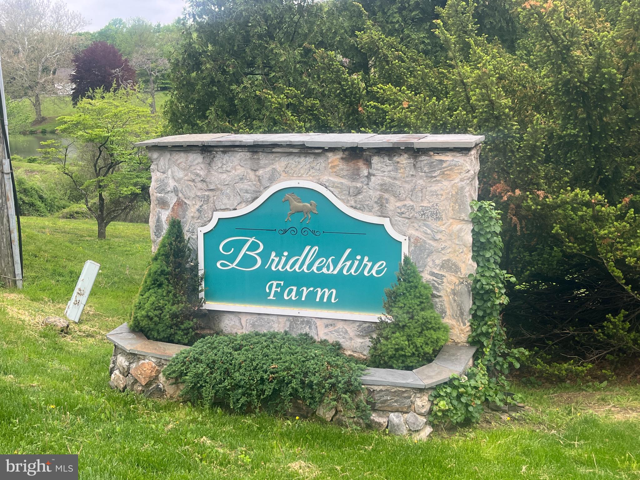 43 BRIDLESHIRE