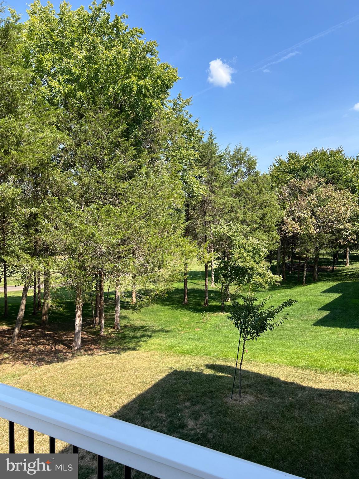 DOMINION VALLEY - Residential Lease