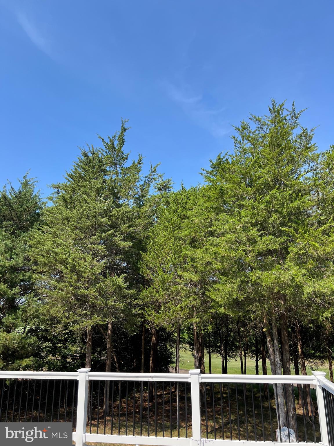 DOMINION VALLEY - Residential Lease