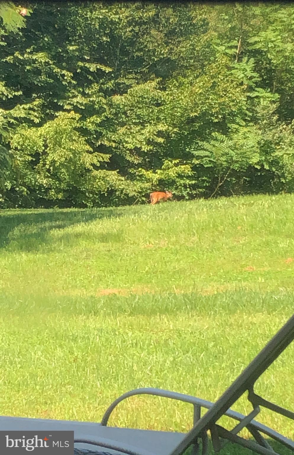 CEDAR CREEK FARMS - Residential