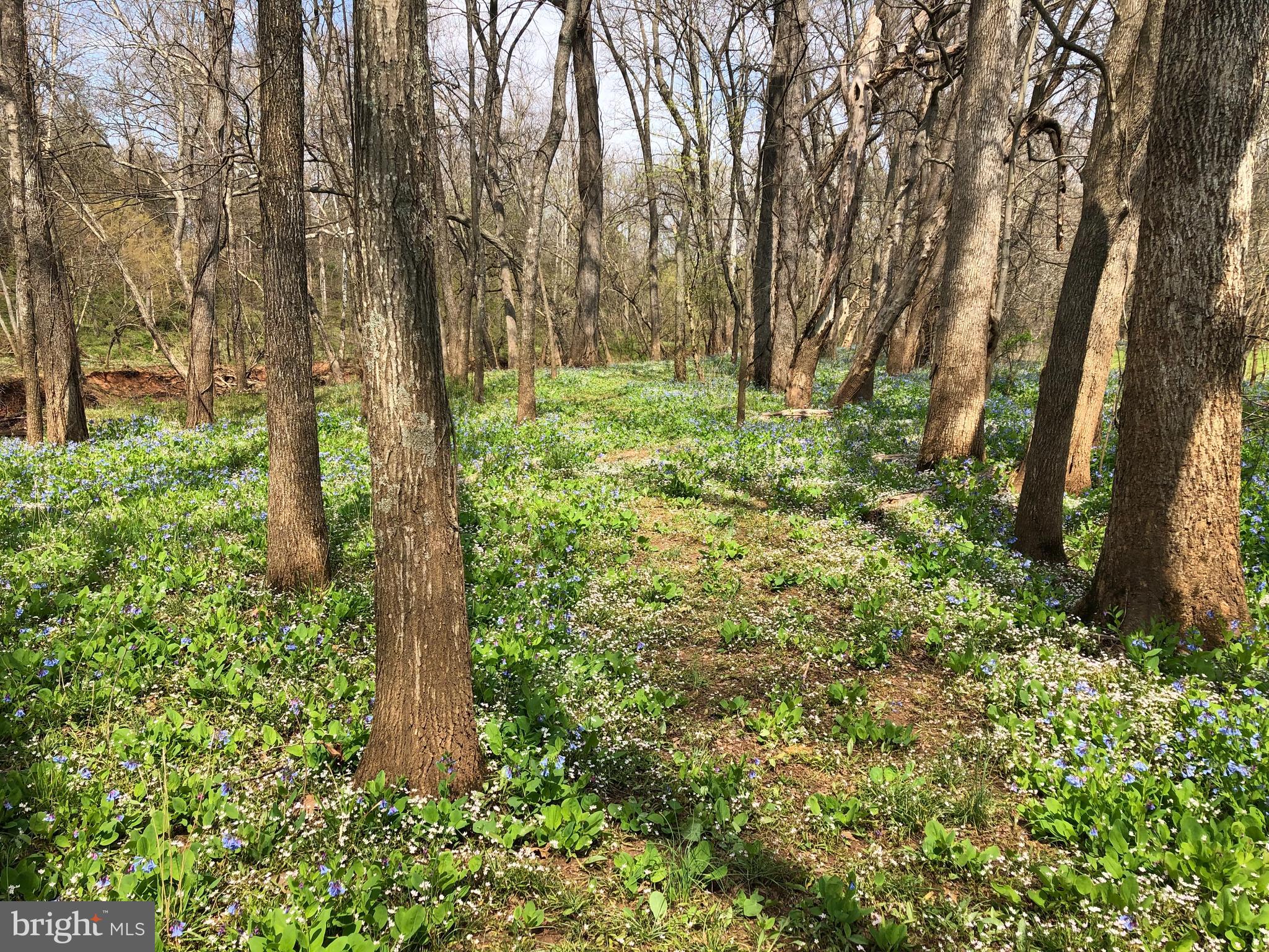 CEDAR CREEK FARMS - Residential
