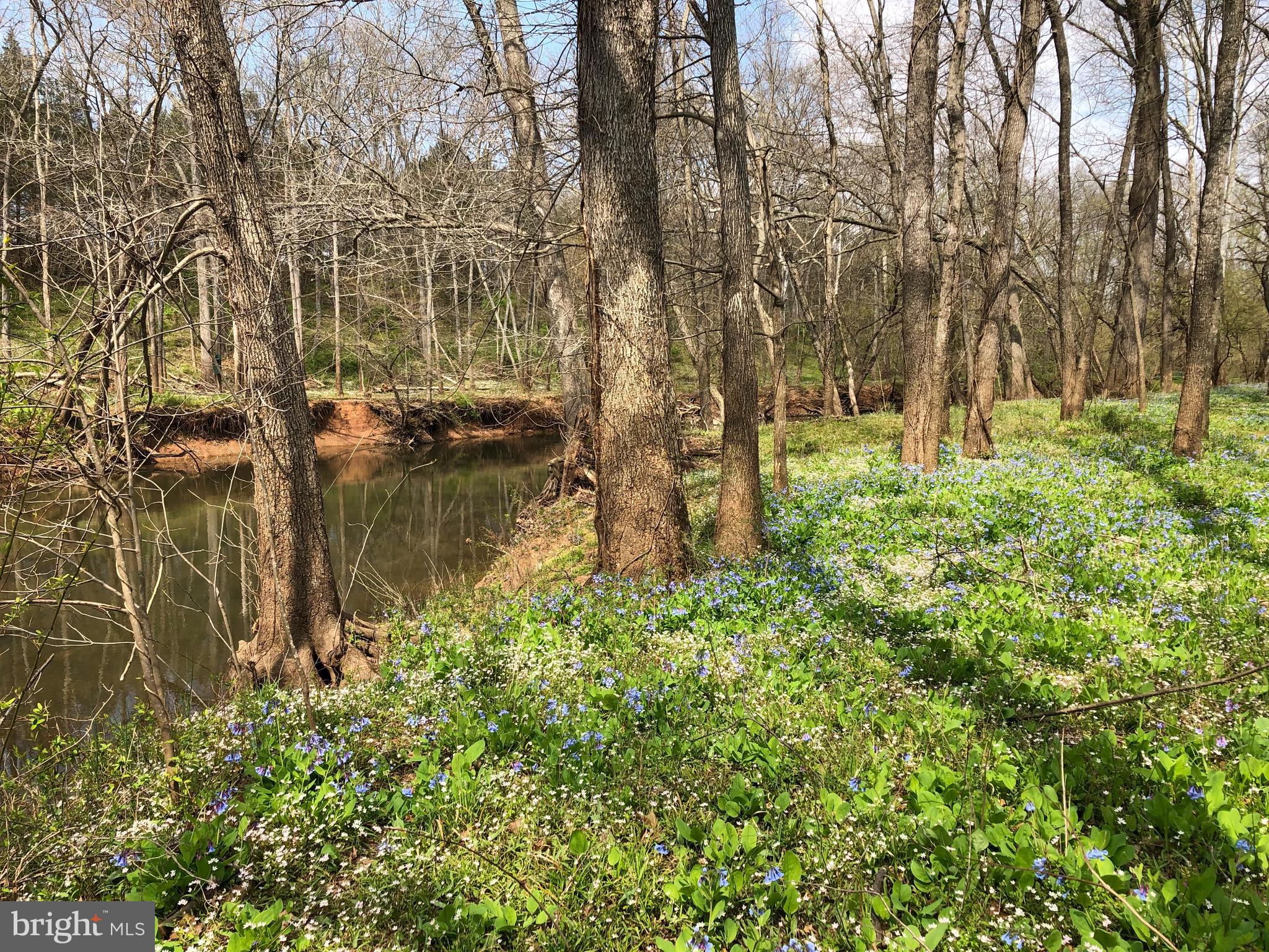CEDAR CREEK FARMS - Residential