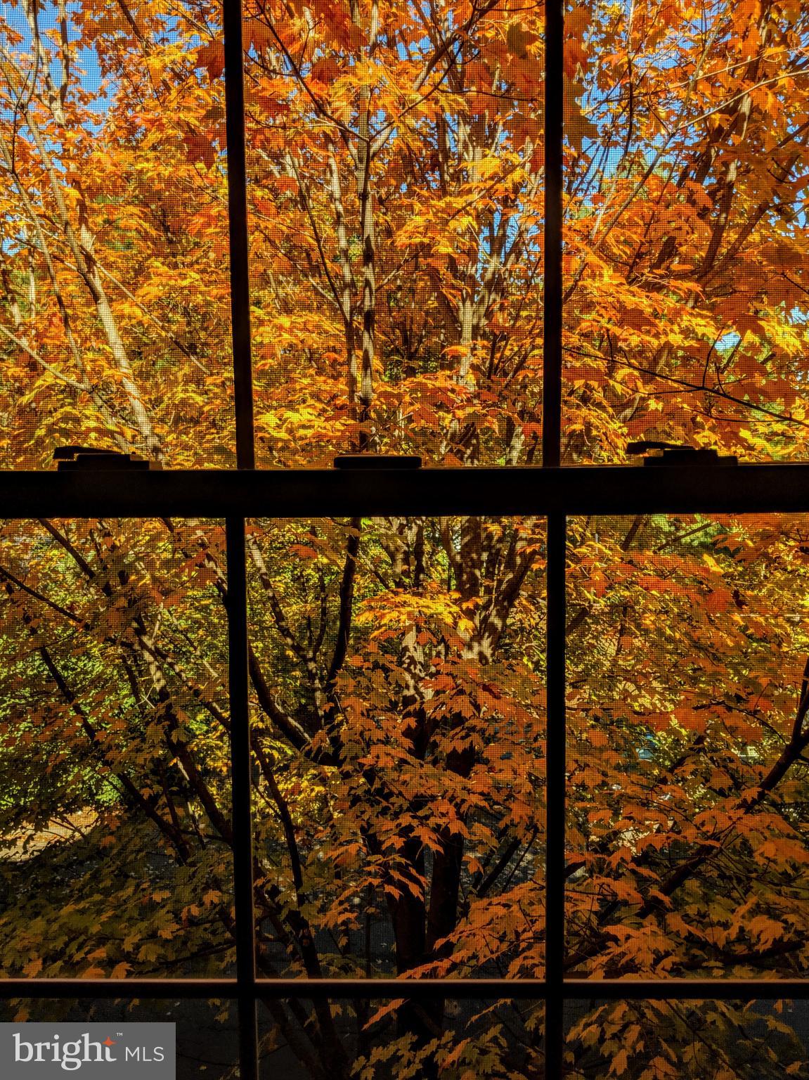 PT ROCKVILLE TWN RES 1 - Residential