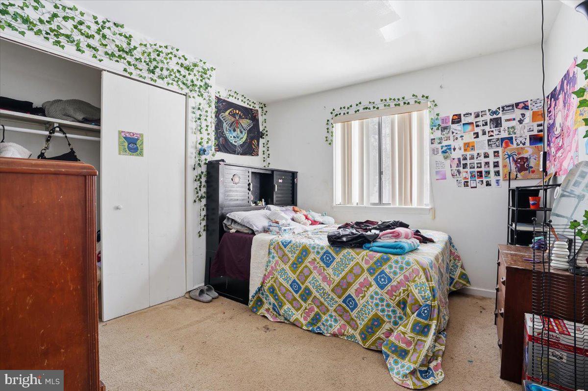 MILL POND (SAW CREEK) - Residential