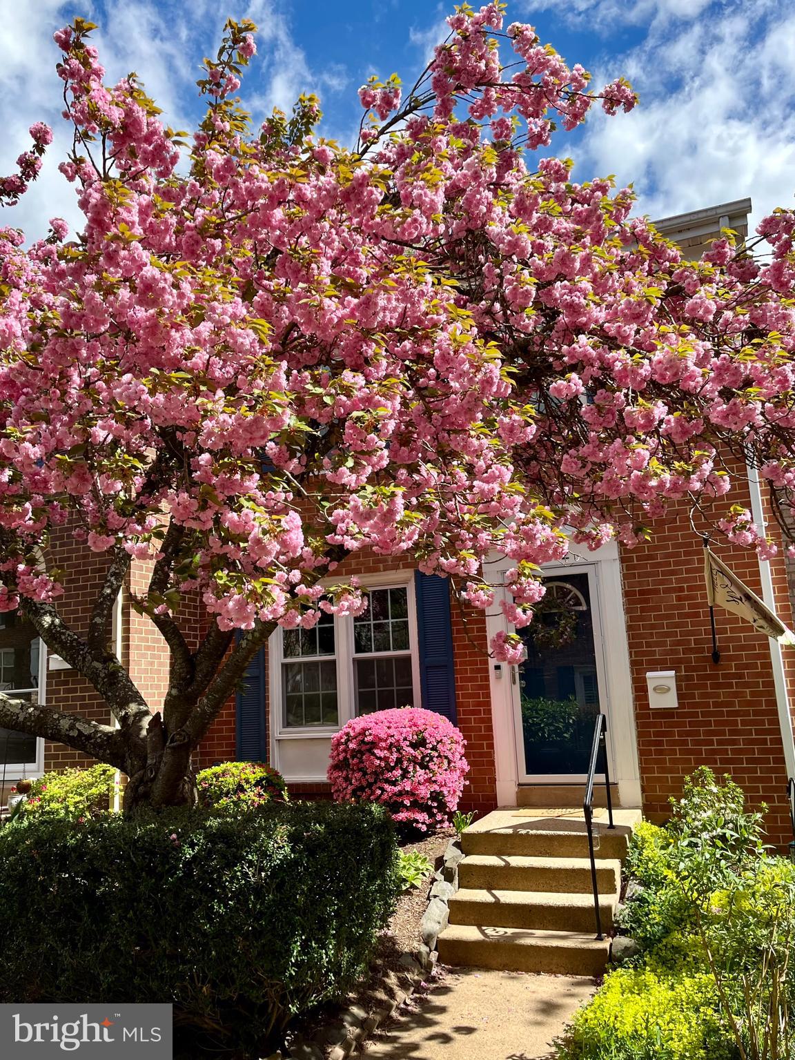 11872 SAINT TRINIANS COURT