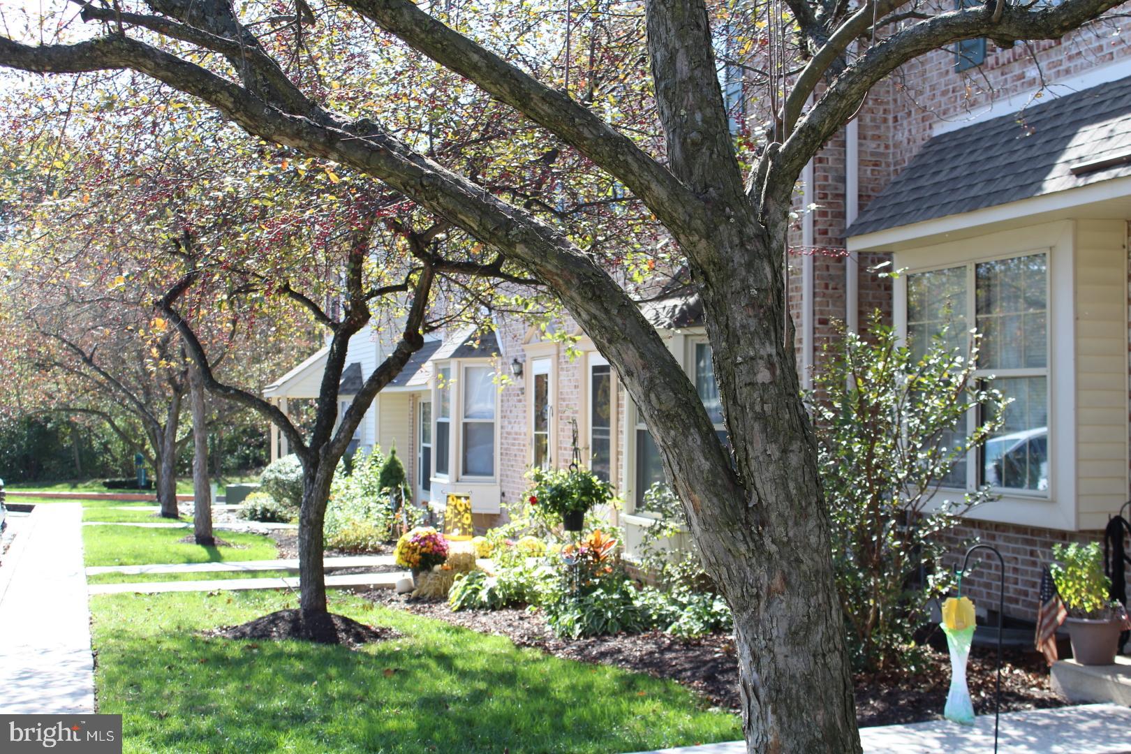 MAPLE GLEN - Residential