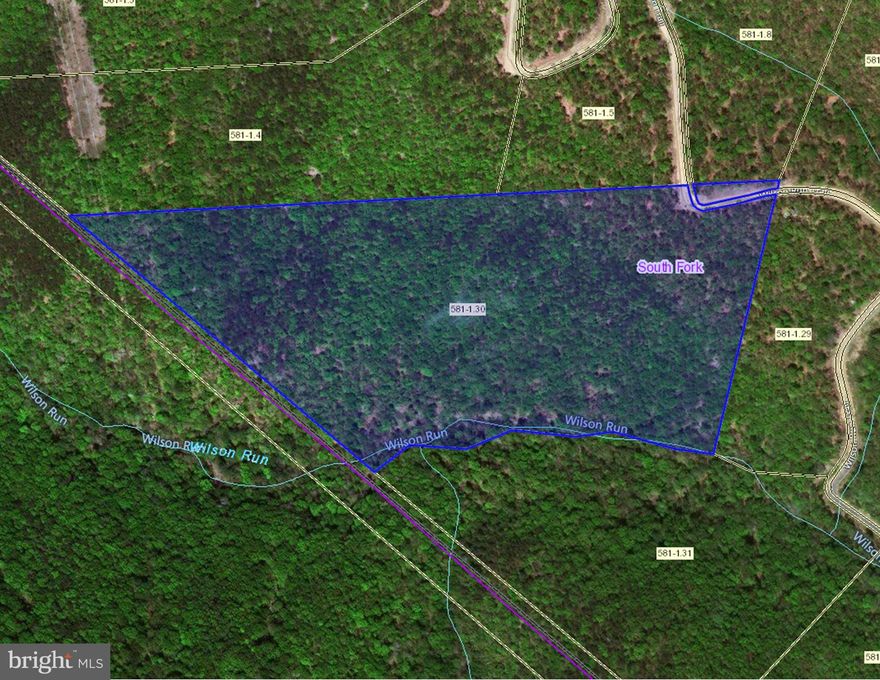LAND BORDERING NATIONAL FOREST! Build your dream home here in wild, wonderful country! Wooded lot features incredible views & creek! Gated community ensures security for you, your family & your property! These nearly 50 acres will always leave you feeling peaceful & serene, so come make it your own!