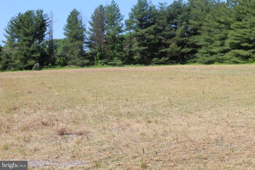 Building lot with perc approval in Dorchester County.  Quiet setting to enjoy nature. 
One of 3 remaining lots in small subdivision.  All three lots can be purchased for $250,000.
See plat under documents.