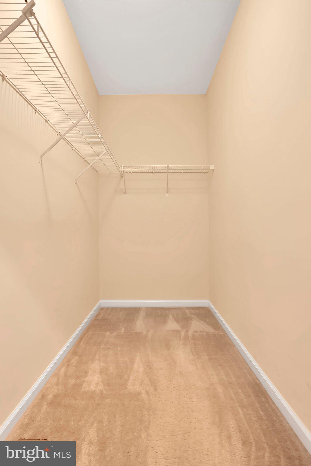 NORBORNE GLEBE - Residential