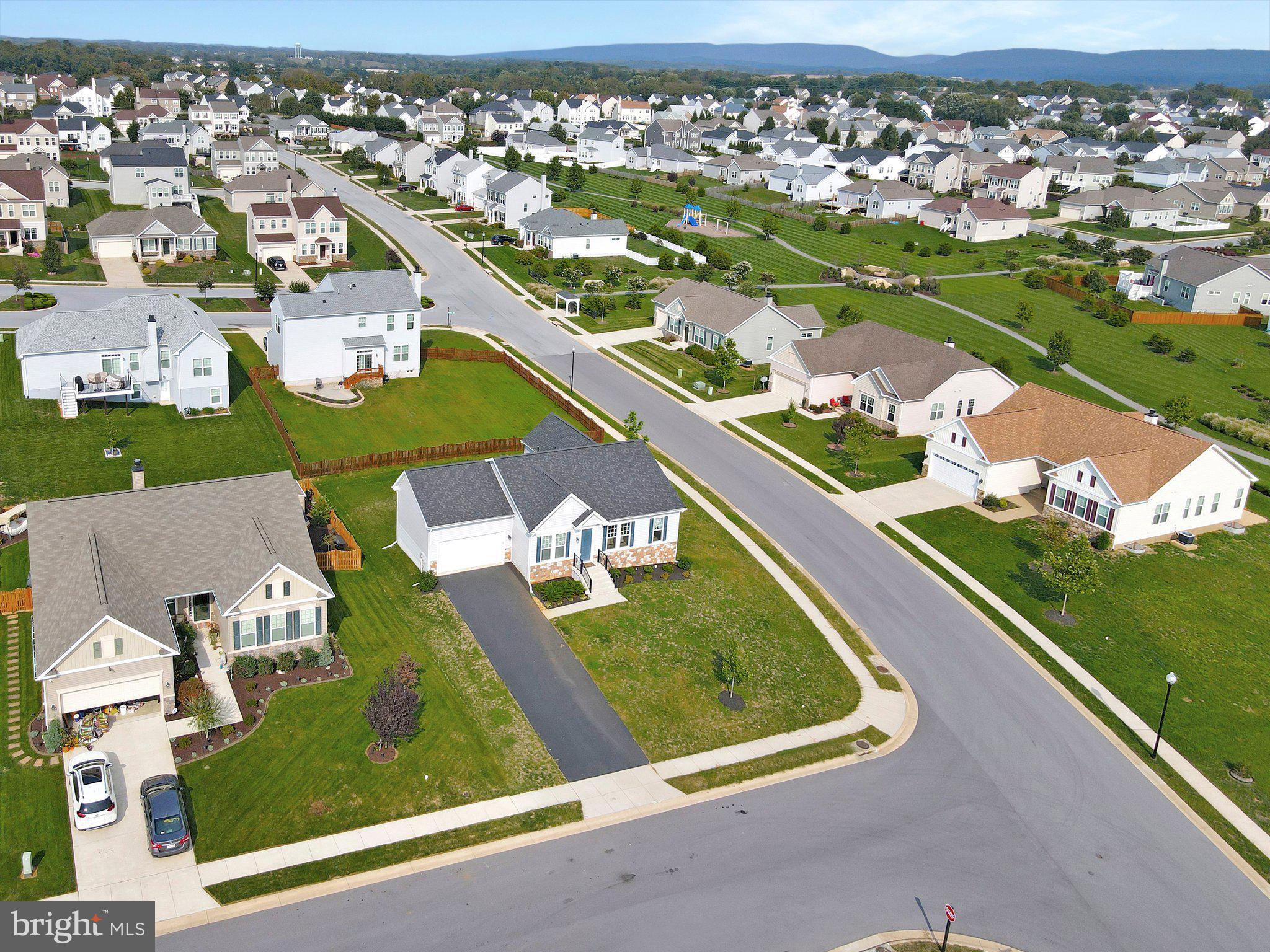 NORBORNE GLEBE - Residential