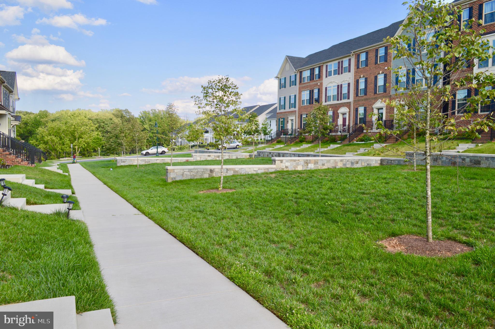 CABIN BRANCH - Residential