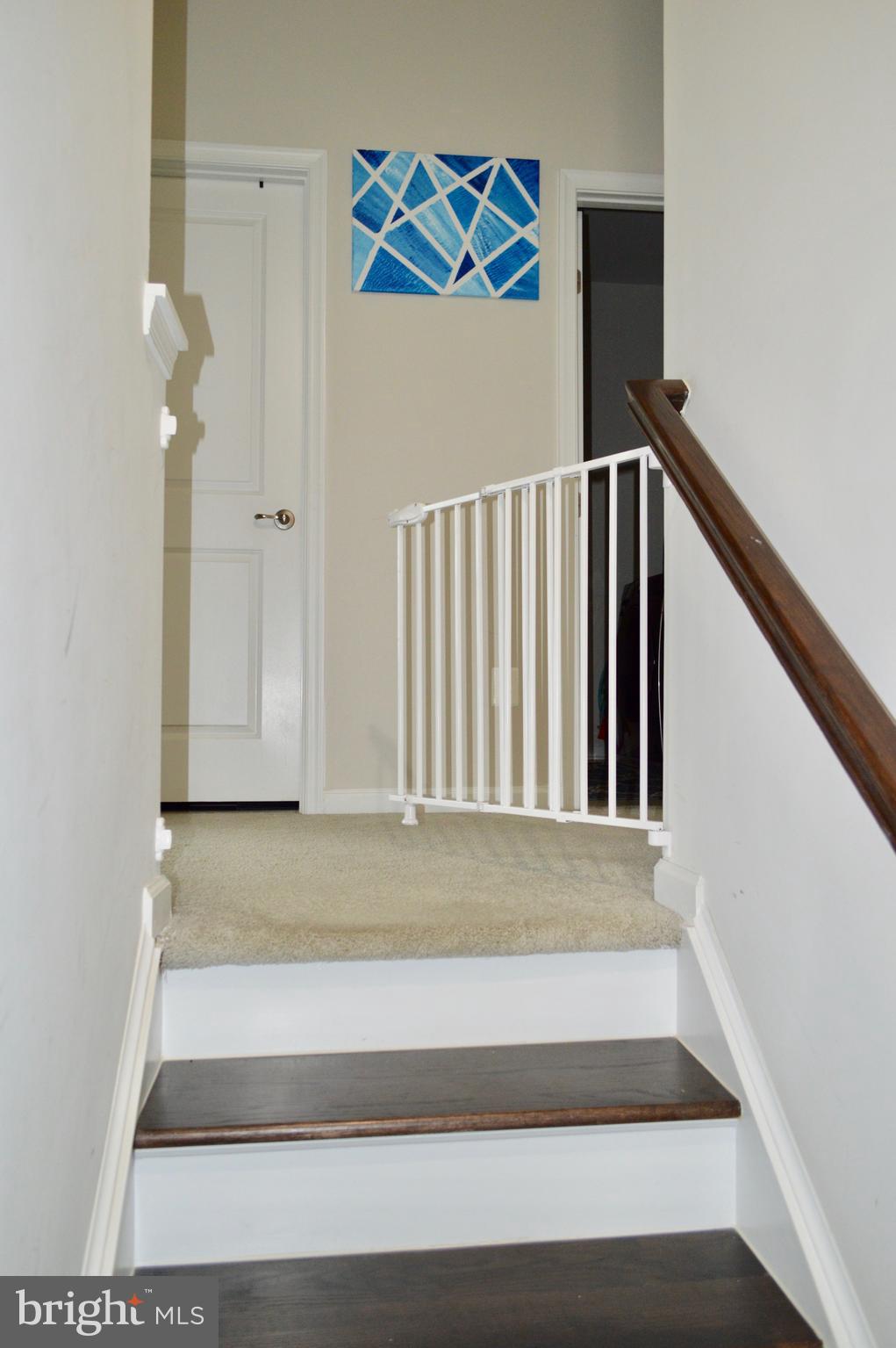 CABIN BRANCH - Residential