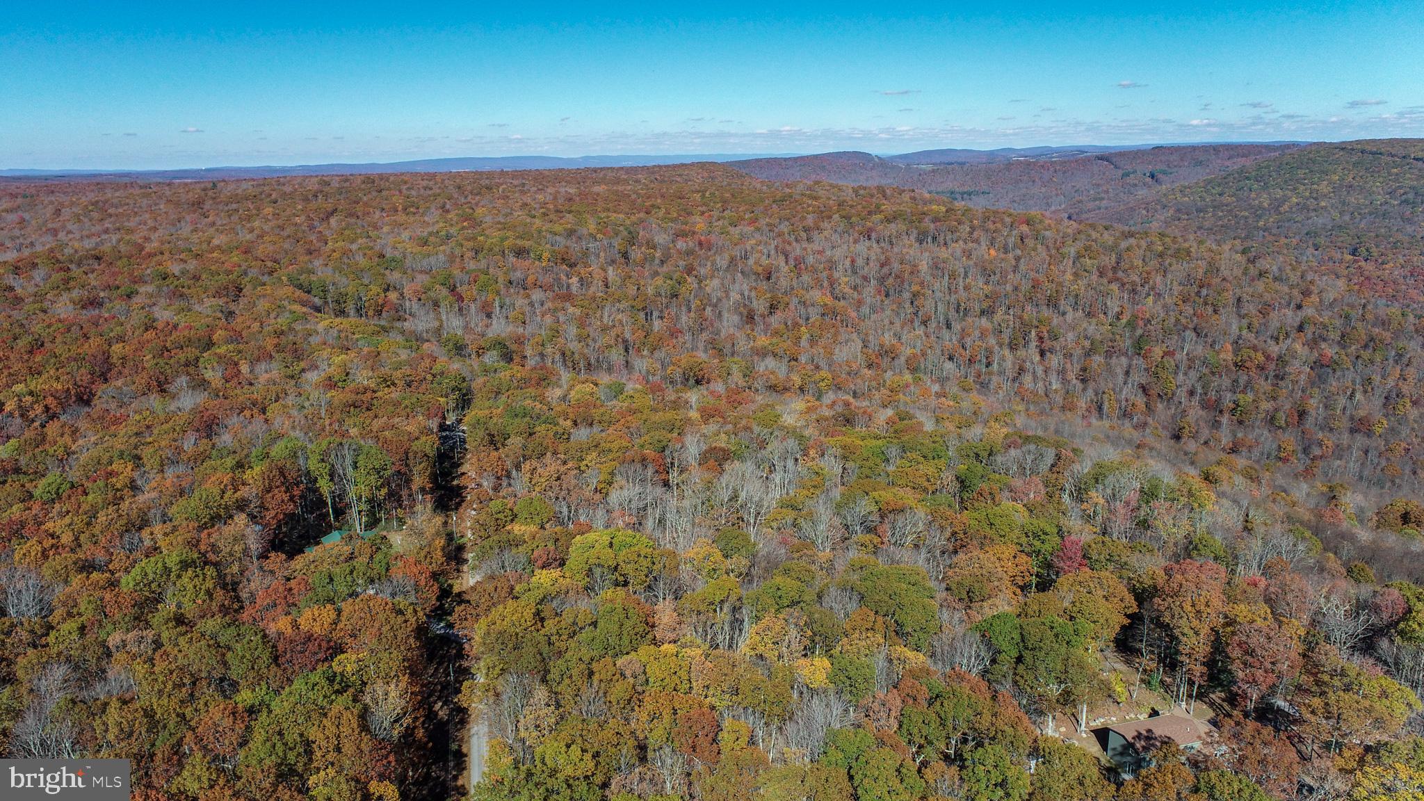 PINEY MOUNTAIN CORP - Land