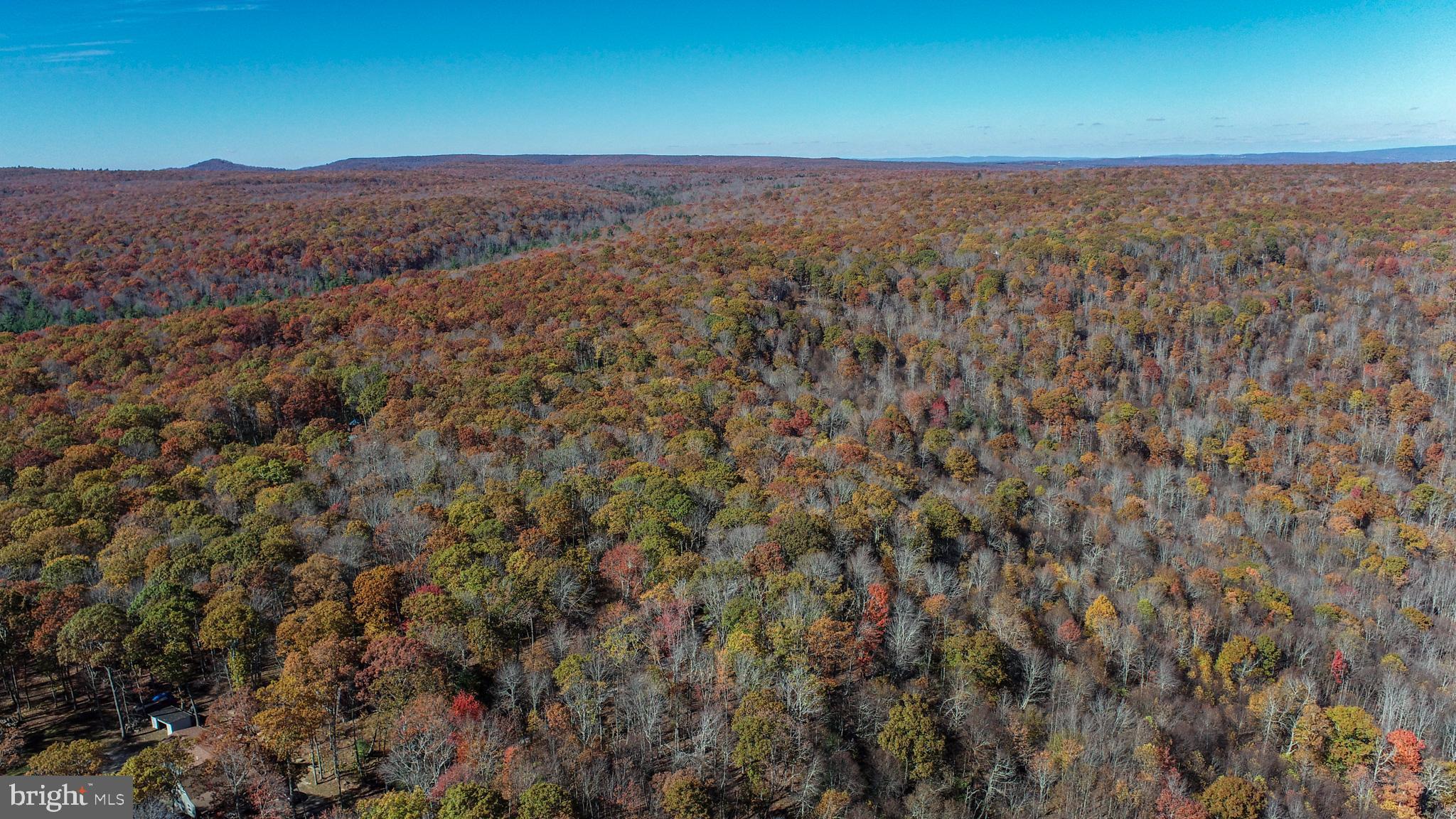 PINEY MOUNTAIN CORP - Land