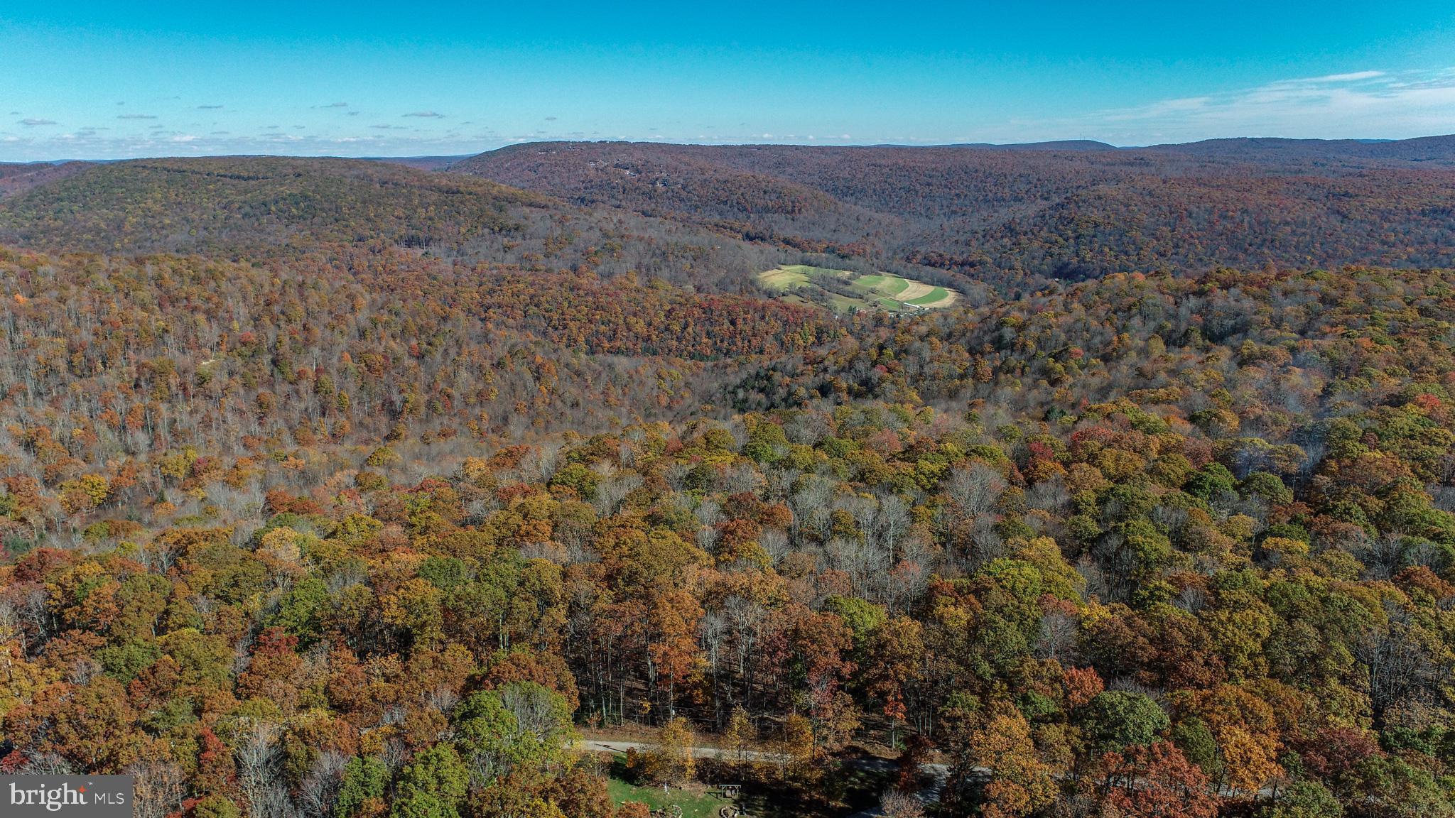 PINEY MOUNTAIN CORP - Land