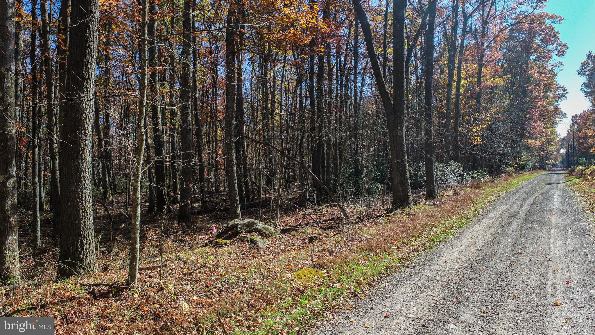 PINEY MOUNTAIN CORP - Land