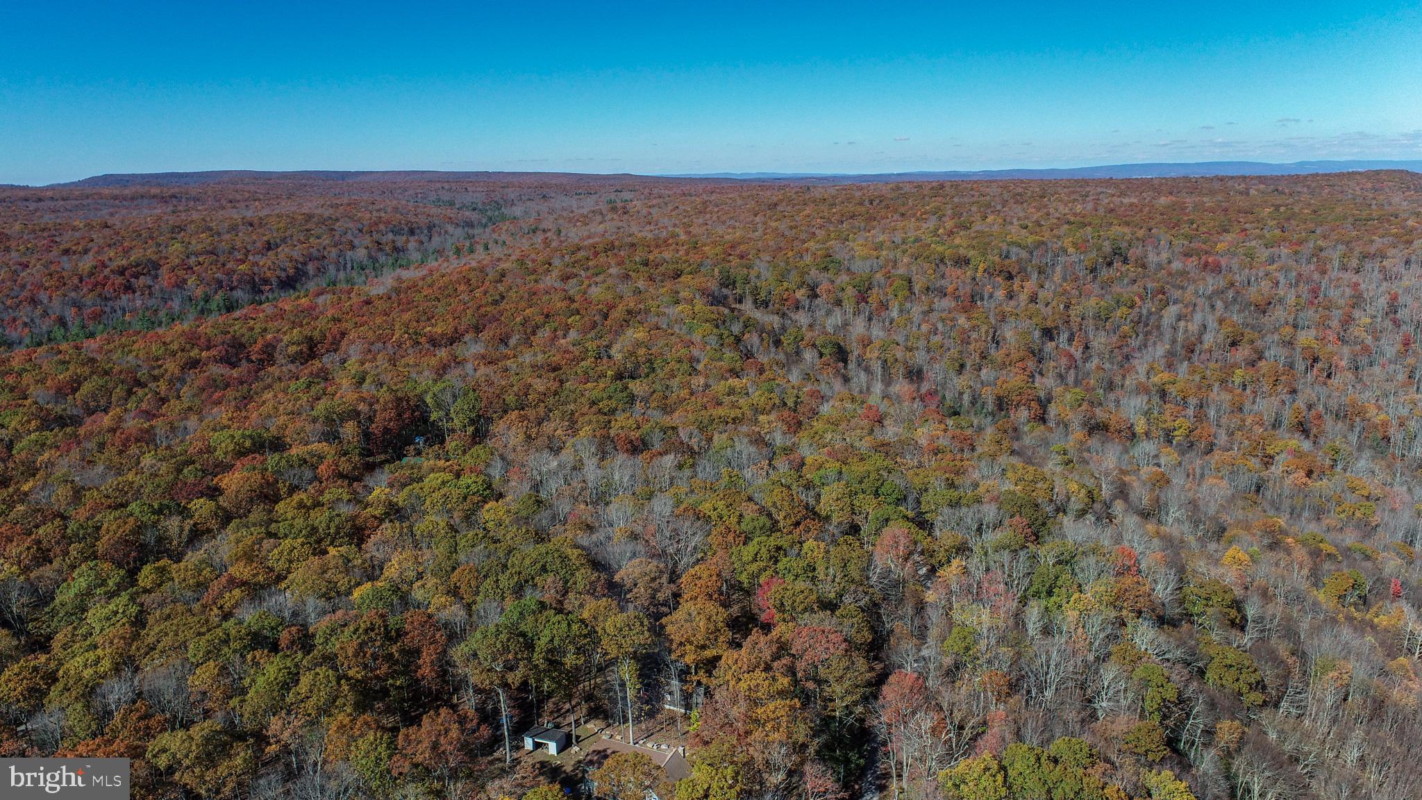 PINEY MOUNTAIN CORP - Land