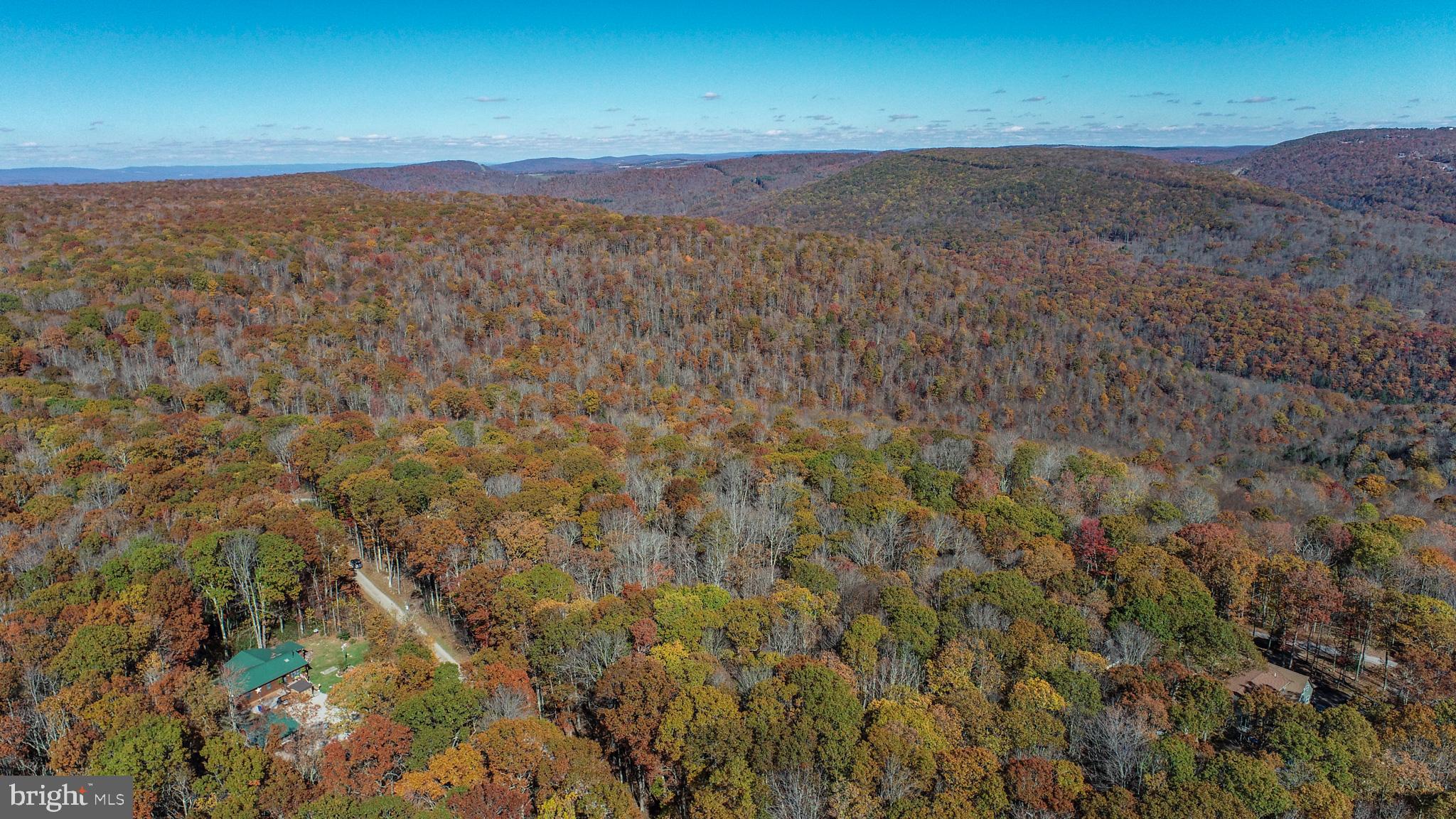 PINEY MOUNTAIN CORP - Land