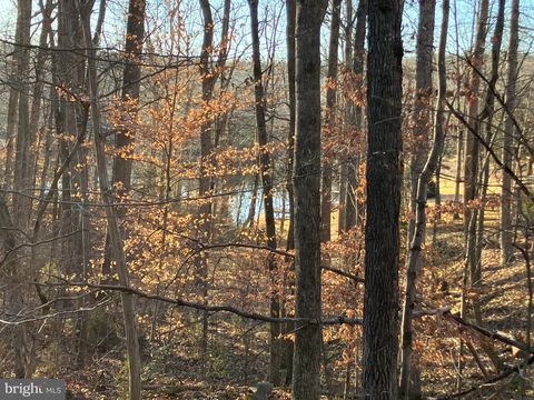 Vacant Land For Sale - LOTS 1223 & 1224 N Lakeshore Drive<br/> LOUISA, VA 23093