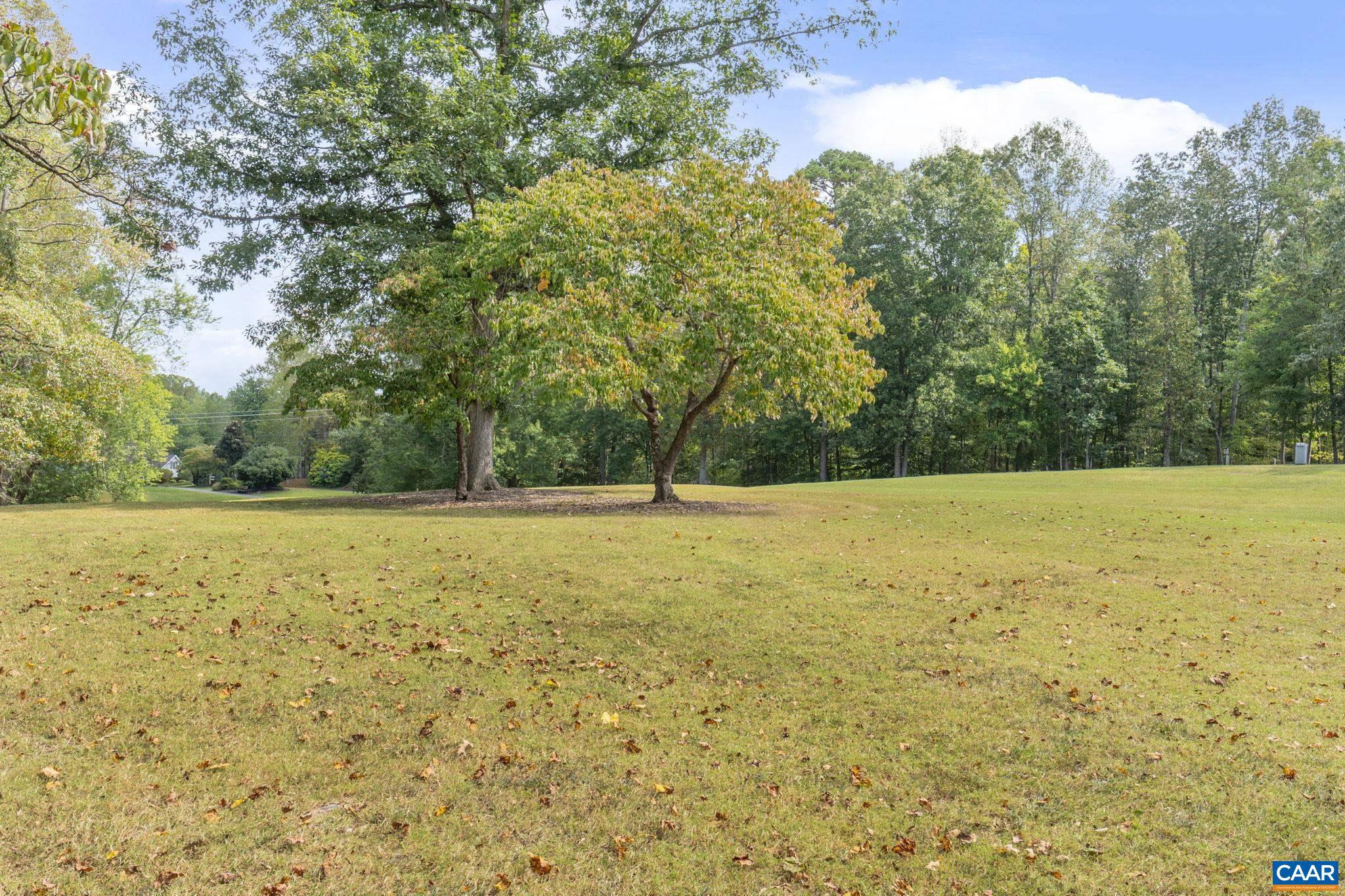 LAKE MONTICELLO - Residential
