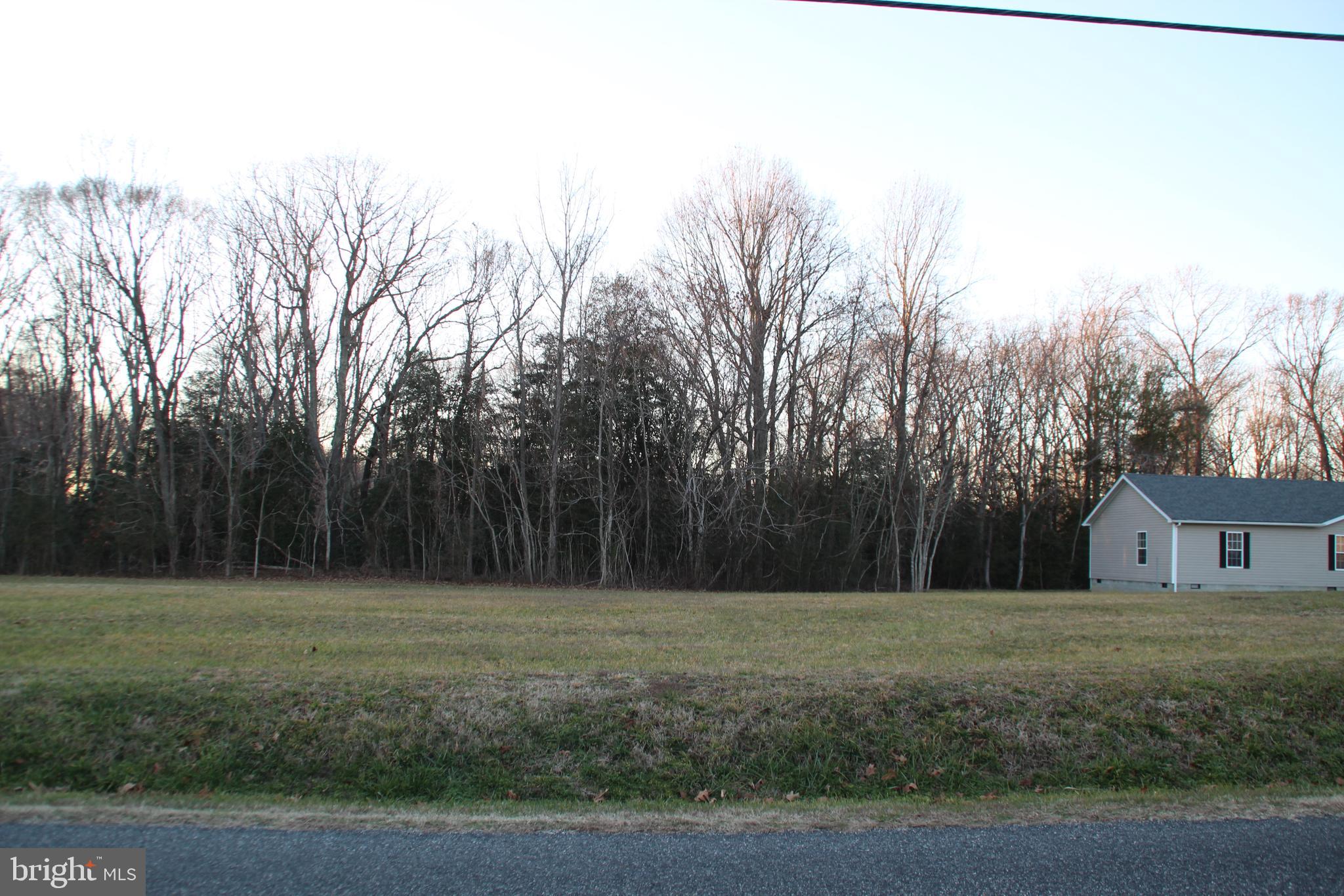 OLD PROSPECT LANDING - Land