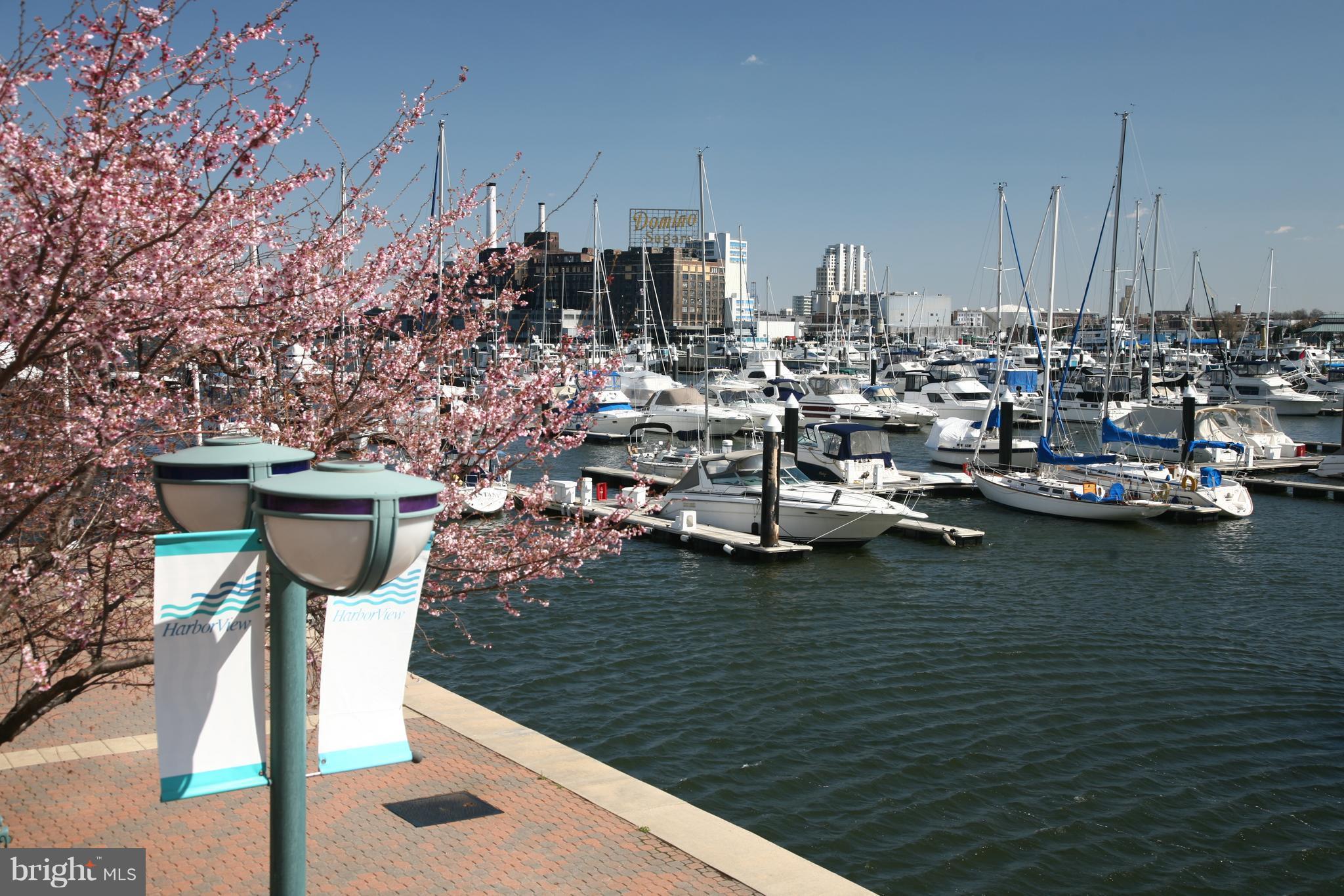 HARBORVIEW - Residential Lease