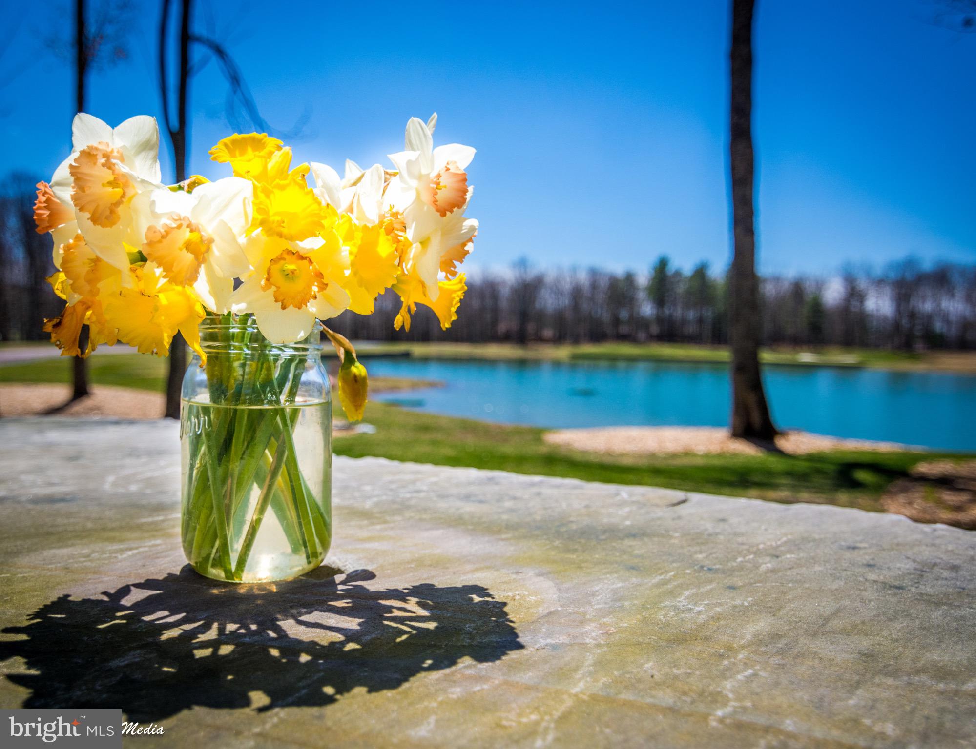 THOUSAND ACRES AT DCL - Land