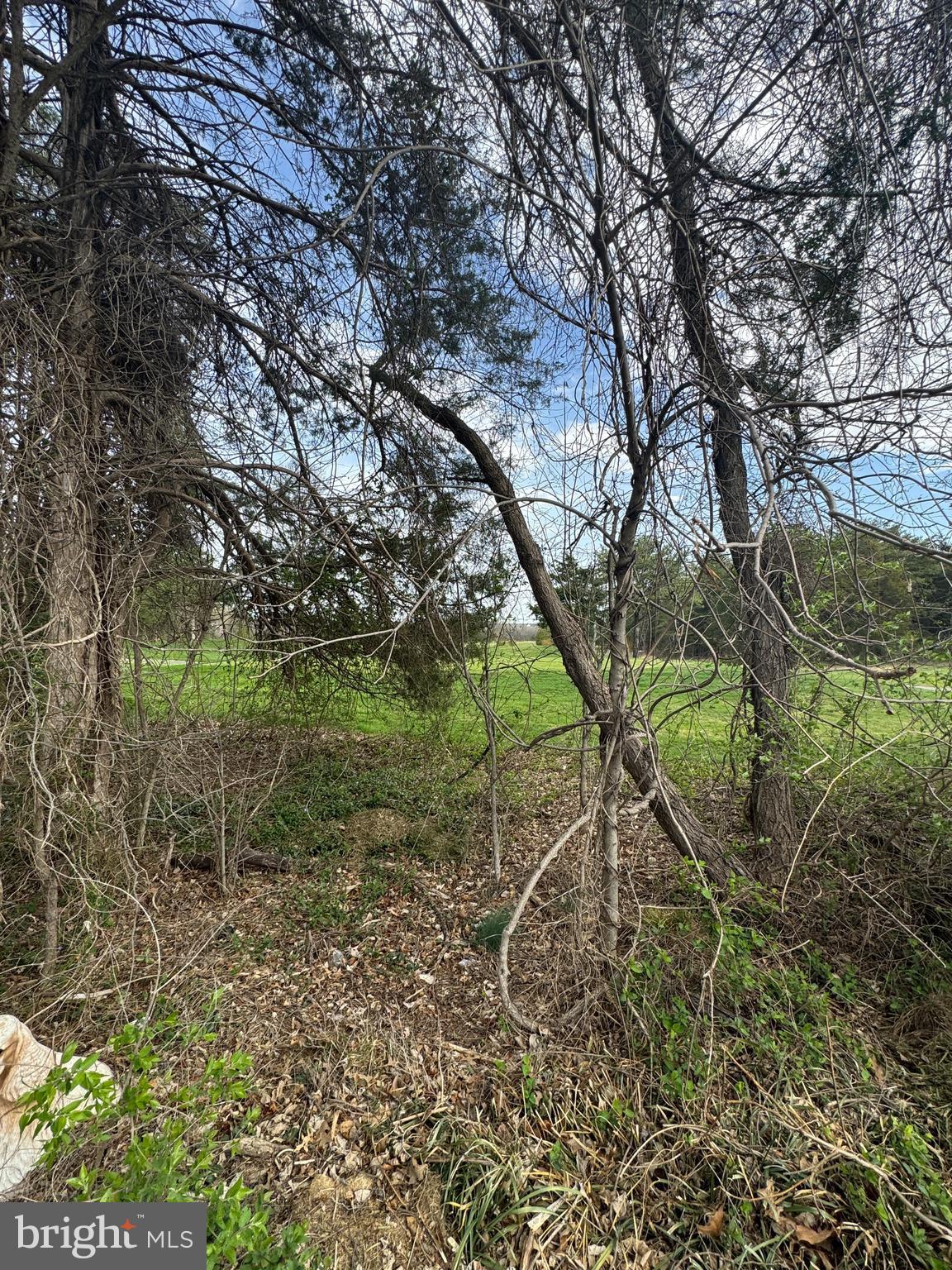 SOUTH RIDING - Residential Lease