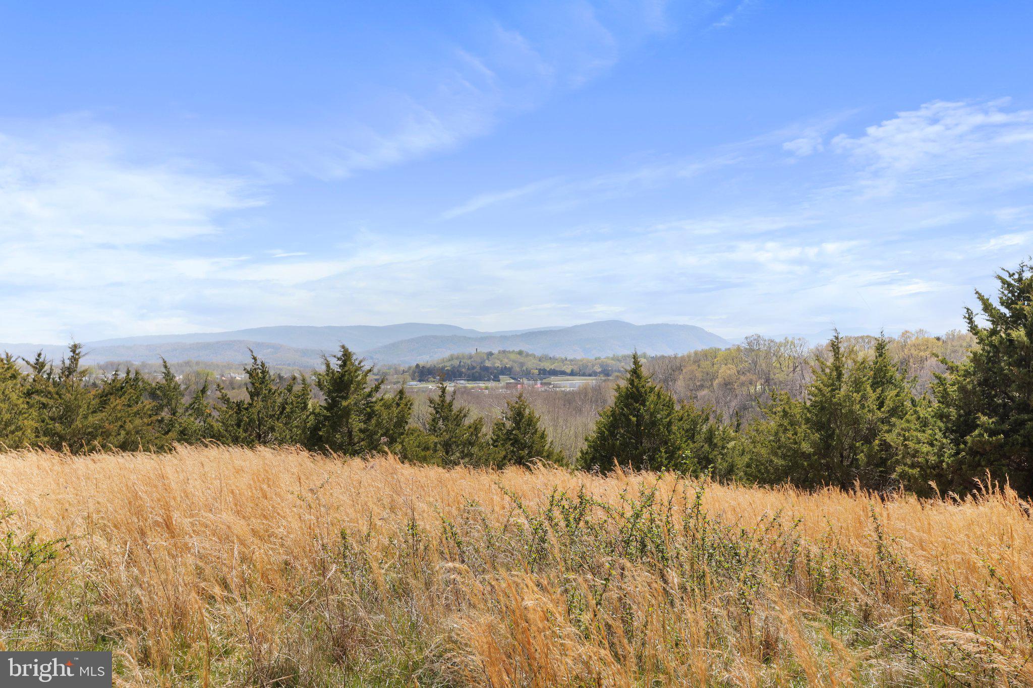 CROOKED RUN - Commercial Sale