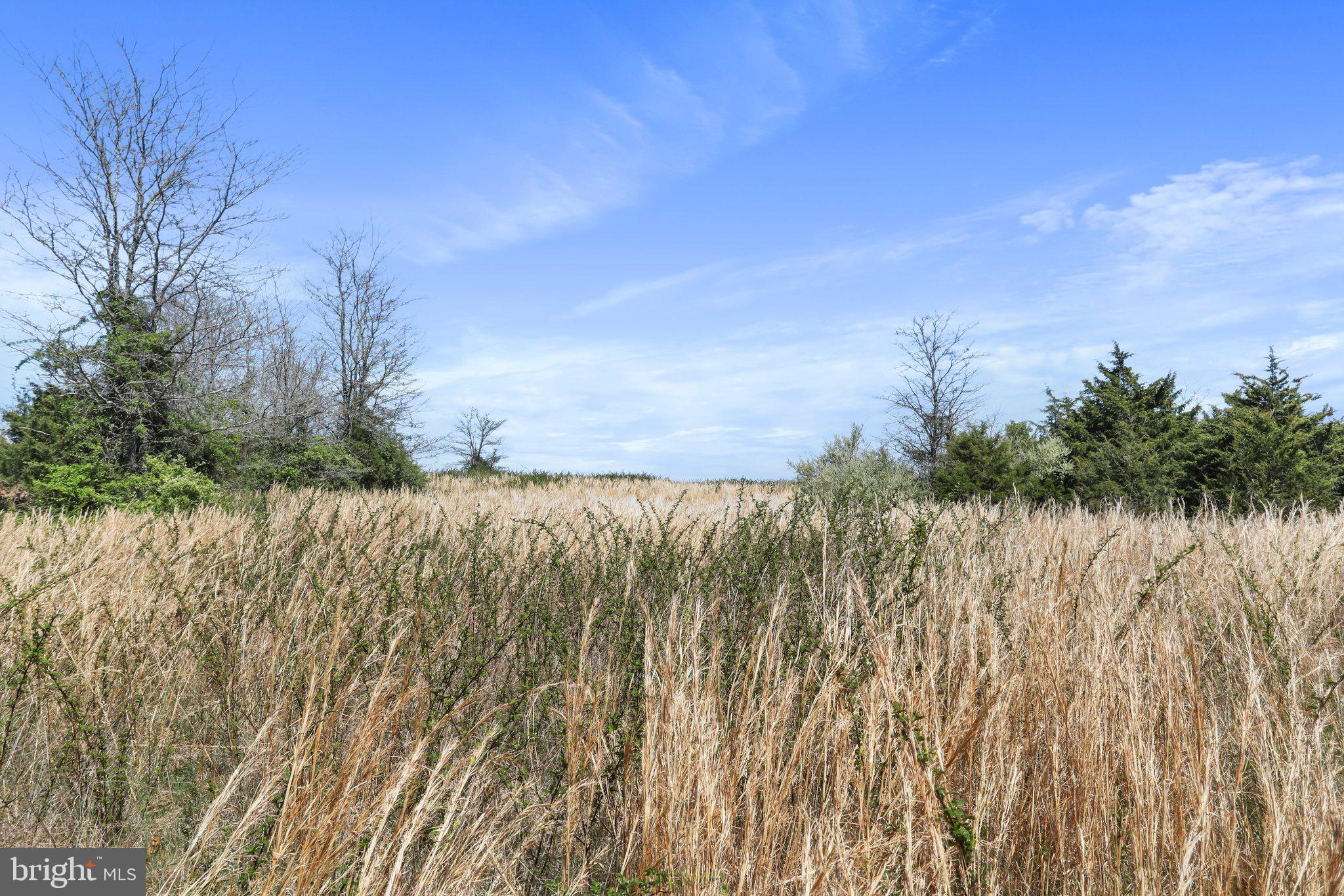 CROOKED RUN - Commercial Sale