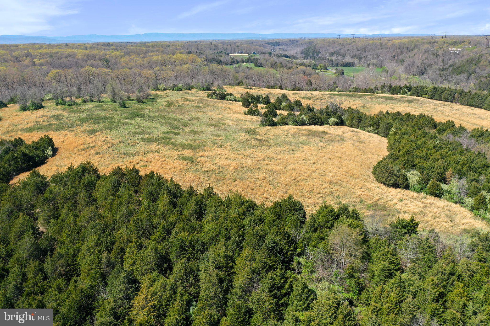 CROOKED RUN - Commercial Sale