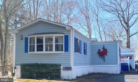 25448 CRAB ALLEY W 1393 MILLSBORO DE 19966