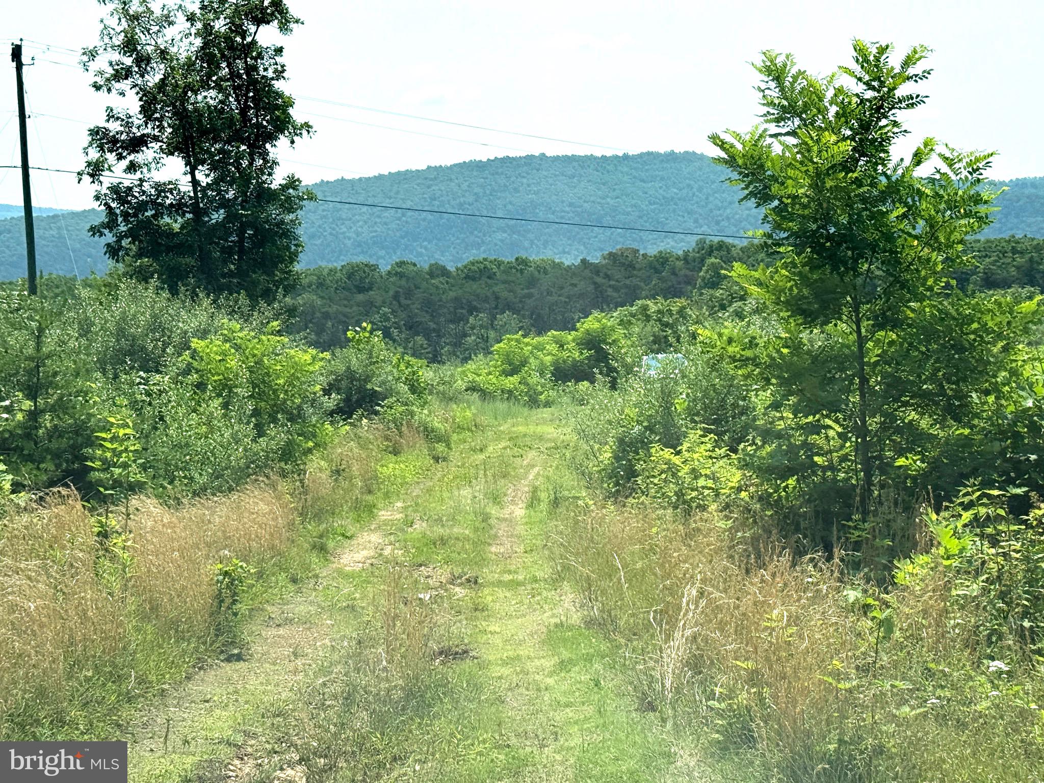 NONE AVAILABLE - Land