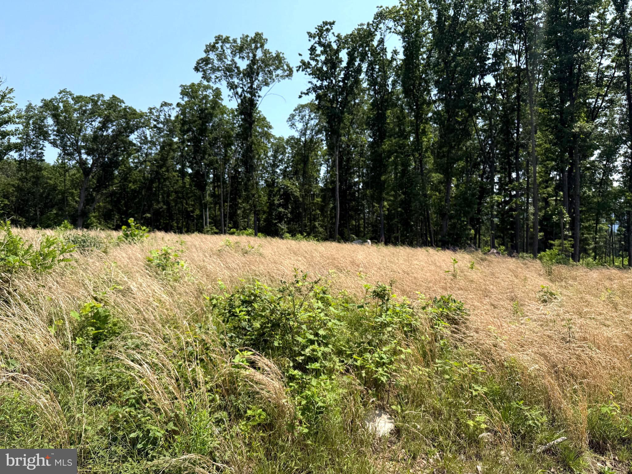 NONE AVAILABLE - Land